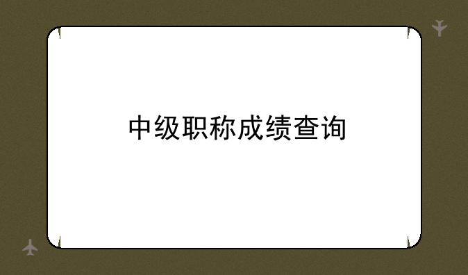 中级职称成绩查询