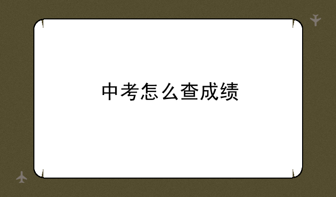 中考怎么查成绩