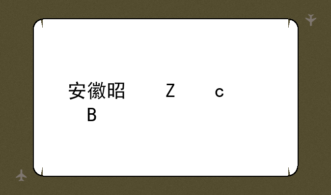 安徽是新高考吗