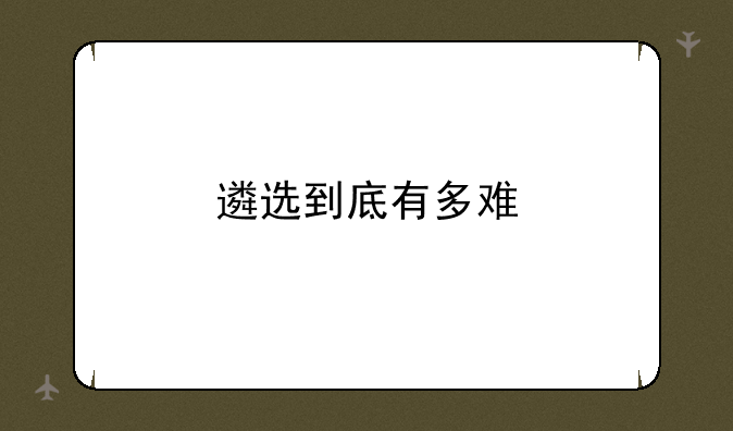 遴选到底有多难