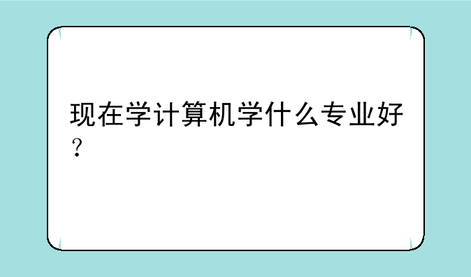 现在学计算机学什么专业好？