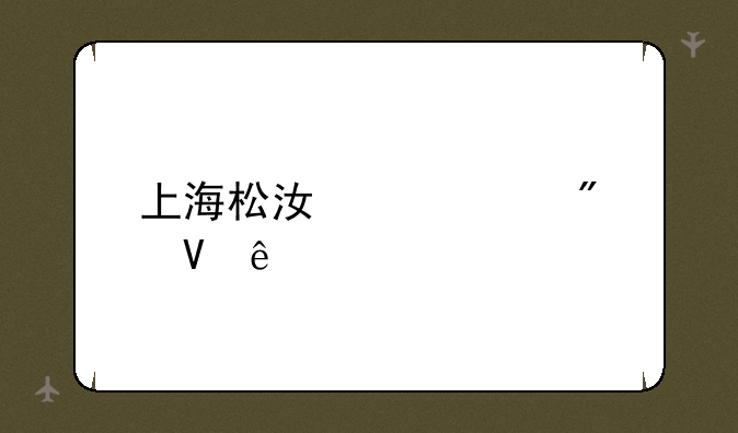 上海松江中考分数线