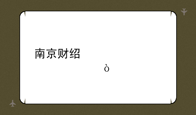 南京财经大学档次？