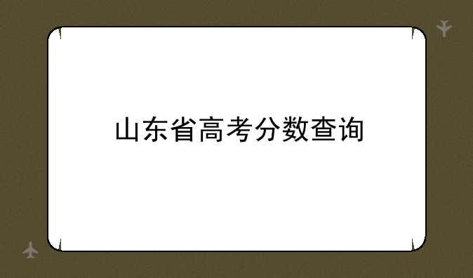 山东省高考分数查询