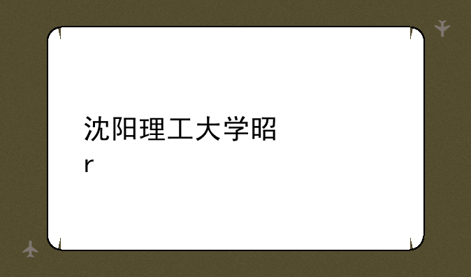 沈阳理工大学是几本