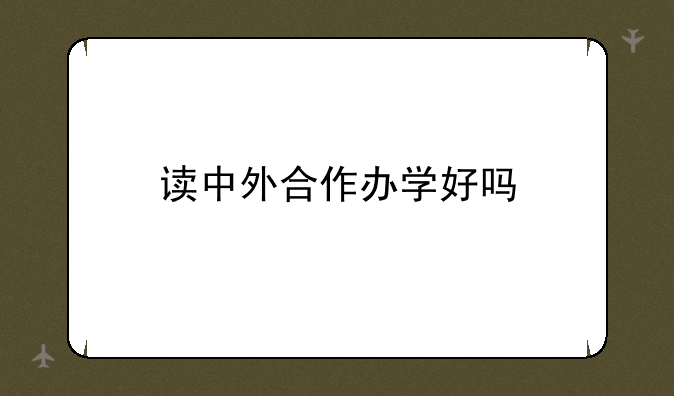 读中外合作办学好吗