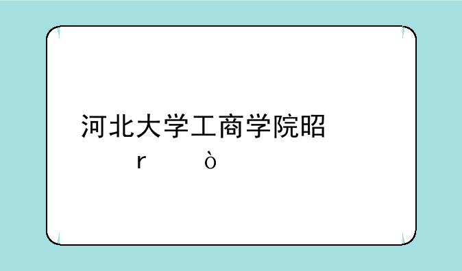 河北大学工商学院是几本？