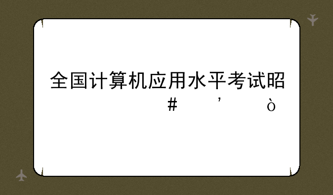 全国计算机应用水平考试是什么等级？