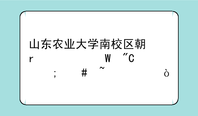 山东农业大学南校区期末考试成绩怎么查询？