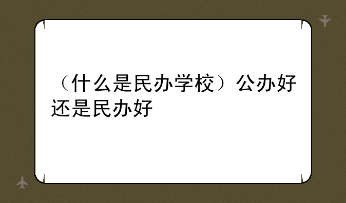 （什么是民办学校）公办好还是民办好